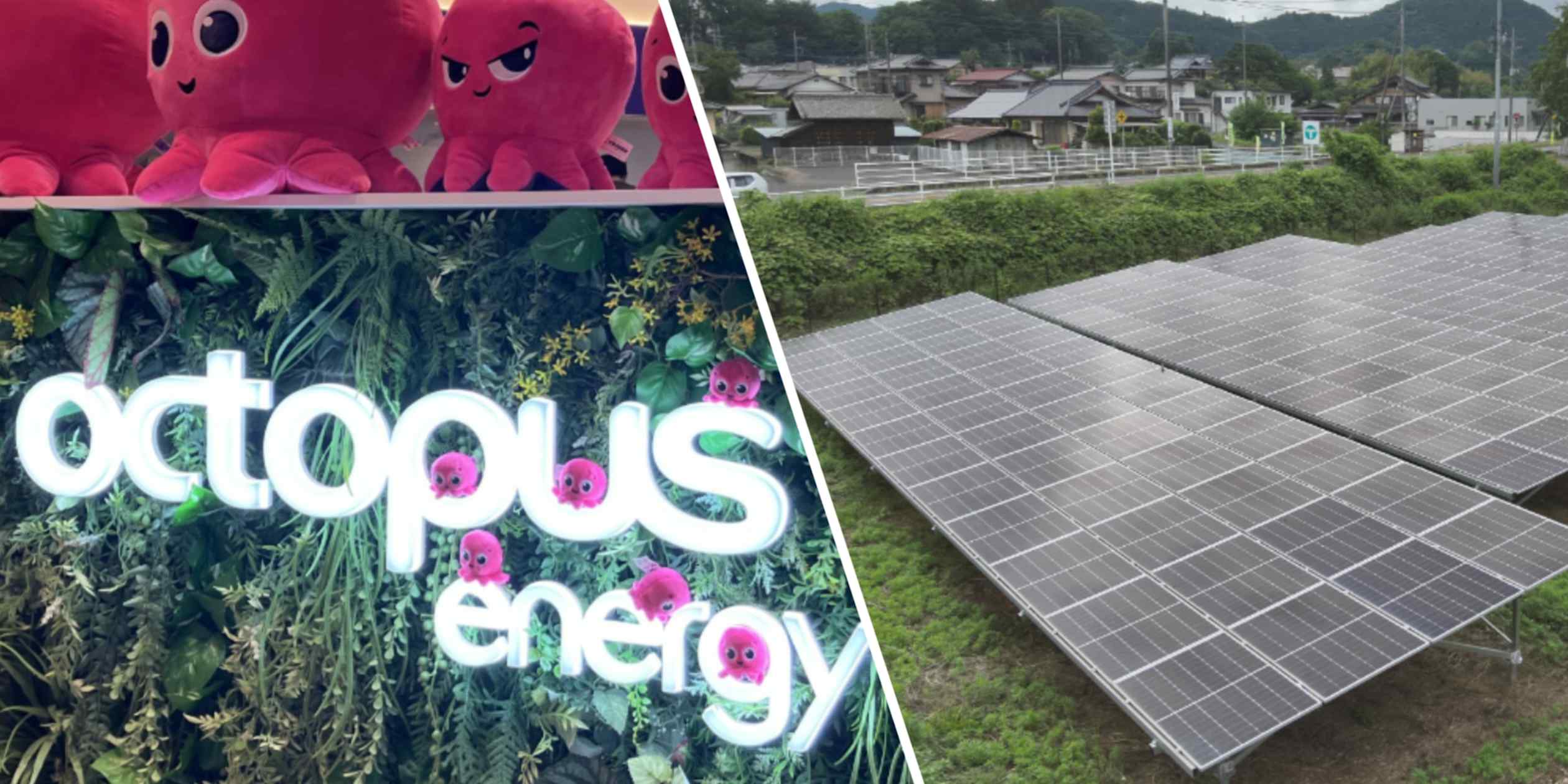 UK-backed power firm enters Japan's booming rooftop solar market