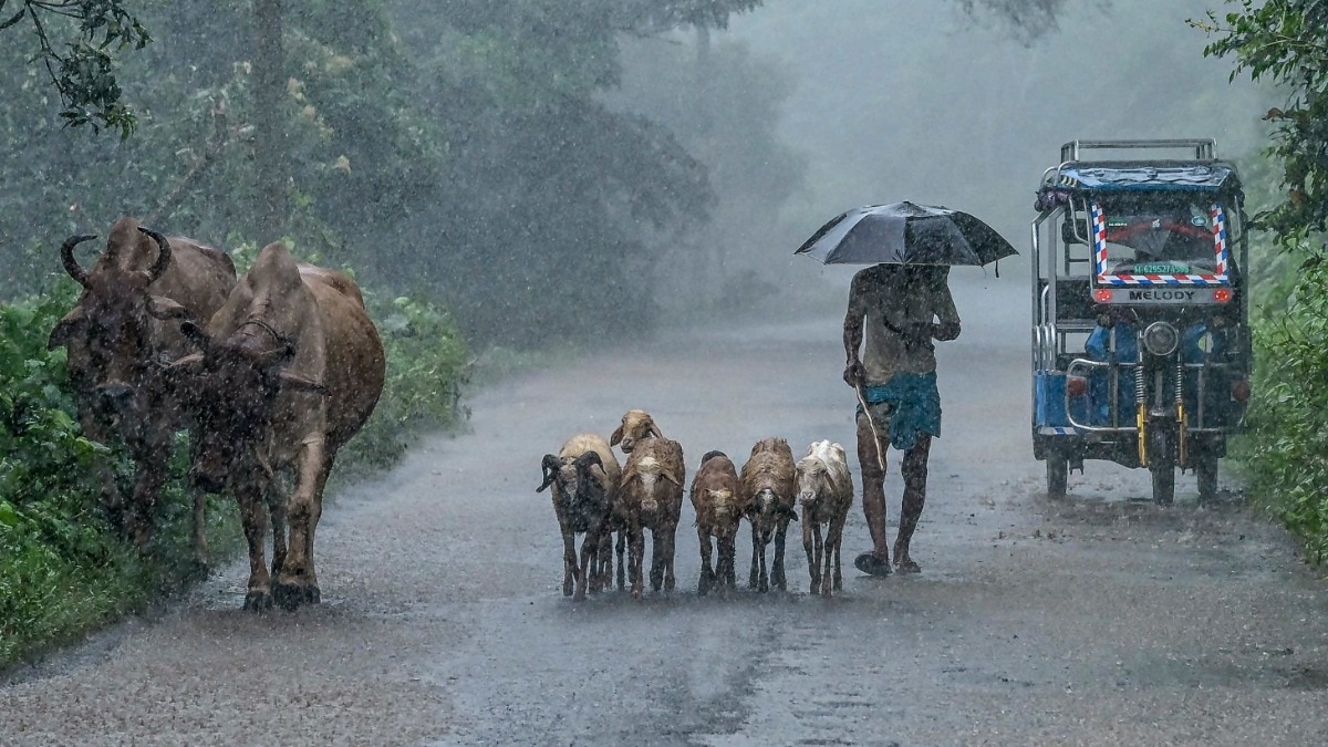 Heavy rainfall alerts issued across multiple Indian states