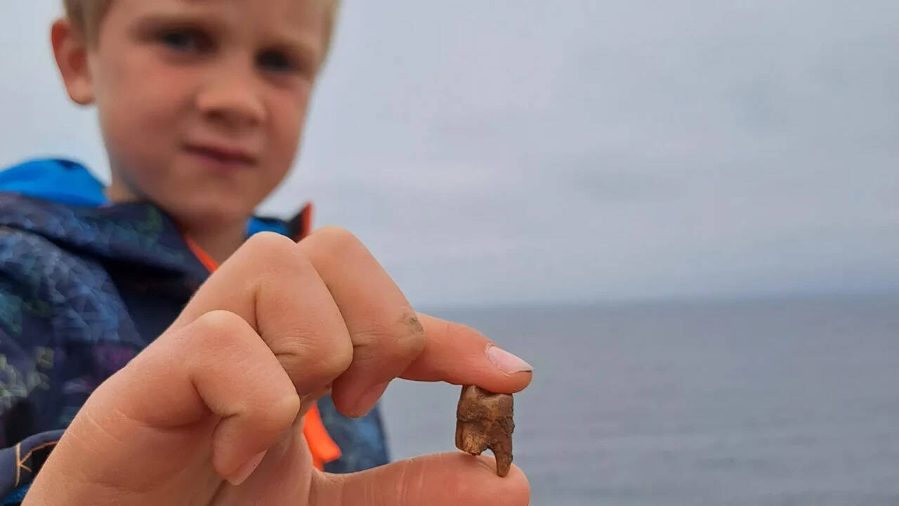 British boy's beach discovery reveals ancient human remains