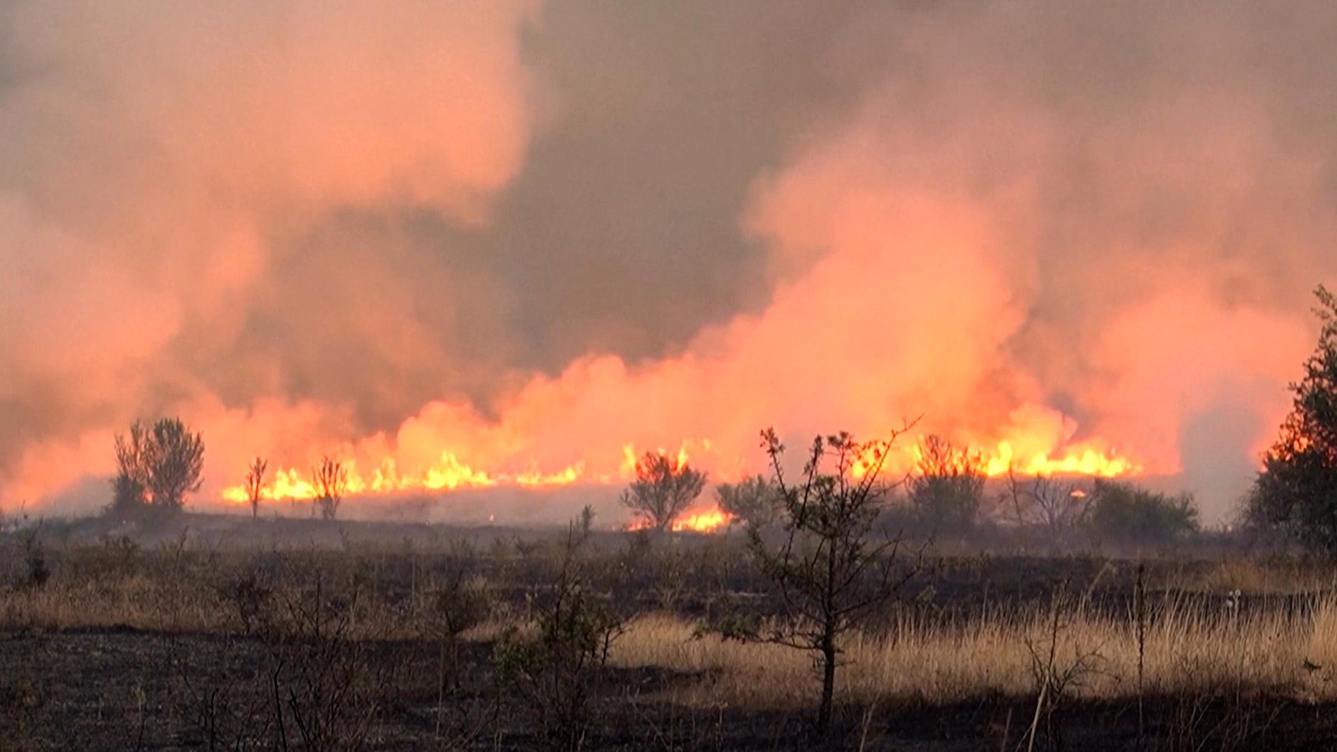 Serbia appeals to EU, Russia for help battling devastating wildfires