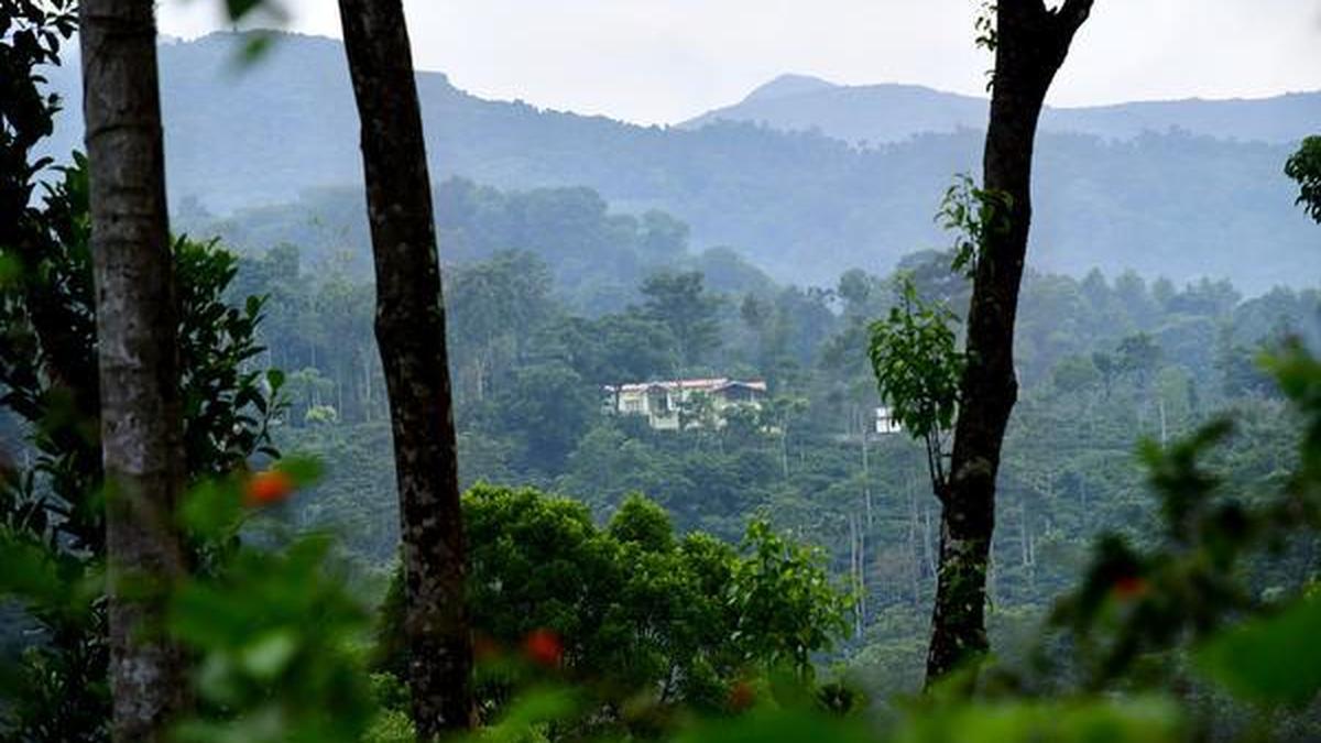 Official calls for crackdown on illegal resorts within tiger reserves