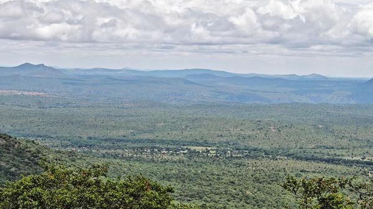 Climate change threatens Western Ghats forest stability in Nilgiri reserve