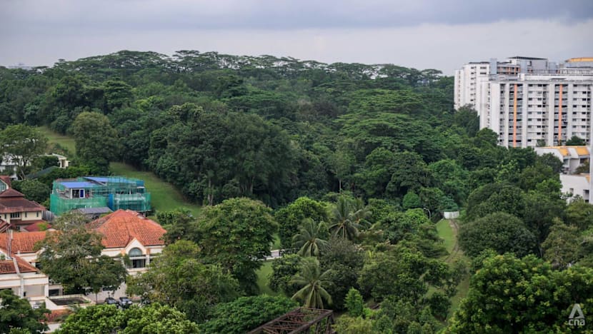 HDB scales back housing plans, prioritizes greenery at two major sites