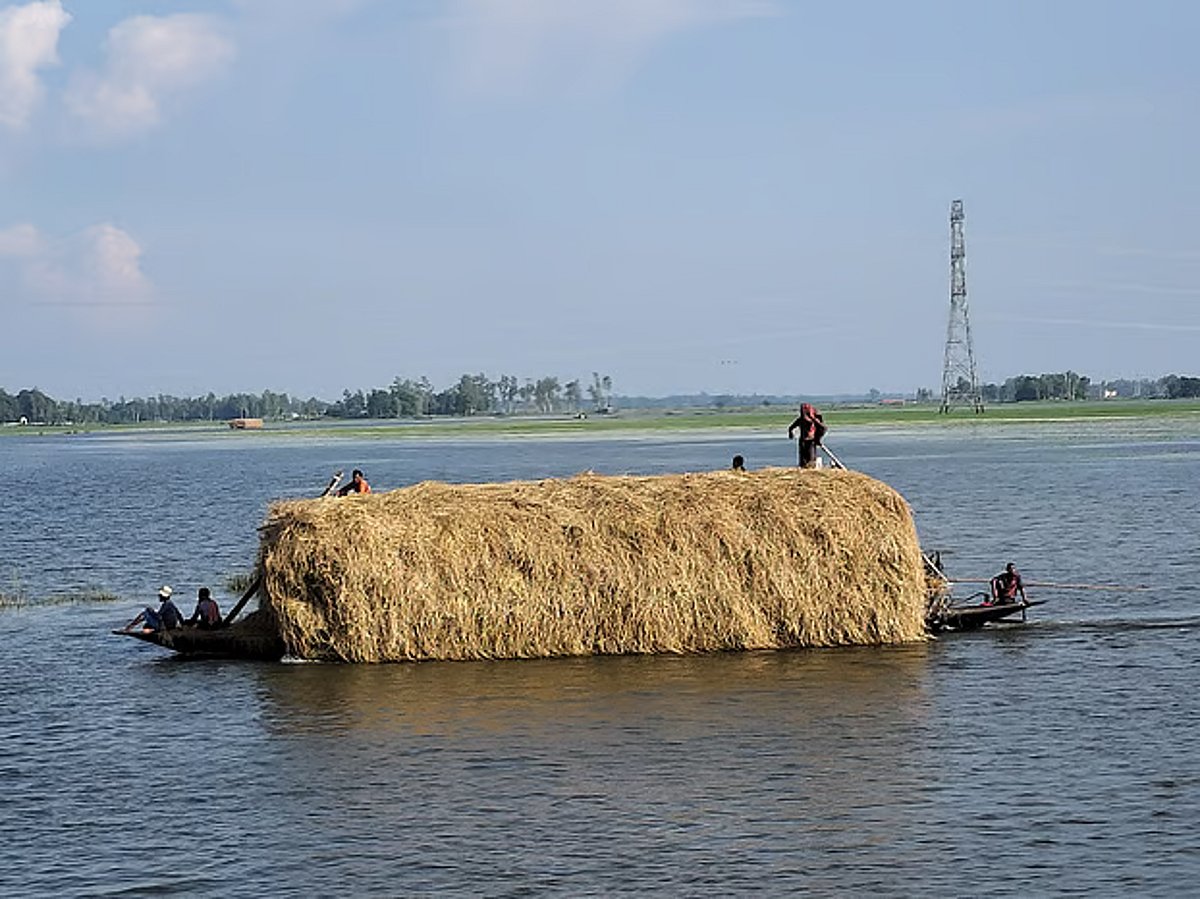 ২৮ আগস্ট: দক্ষিণ ও দক্ষিণ-পূর্ব এশিয়ার শীর্ষ খবর