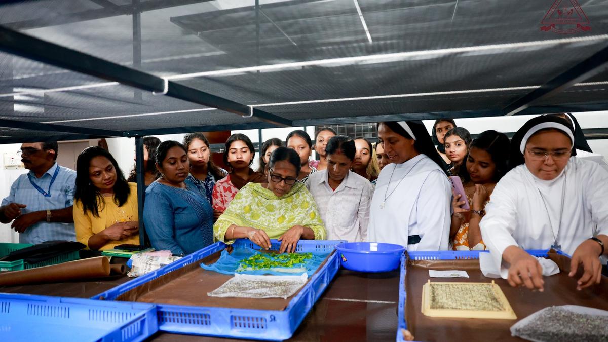 Thrissur college students launch silk venture from campus sericulture project
