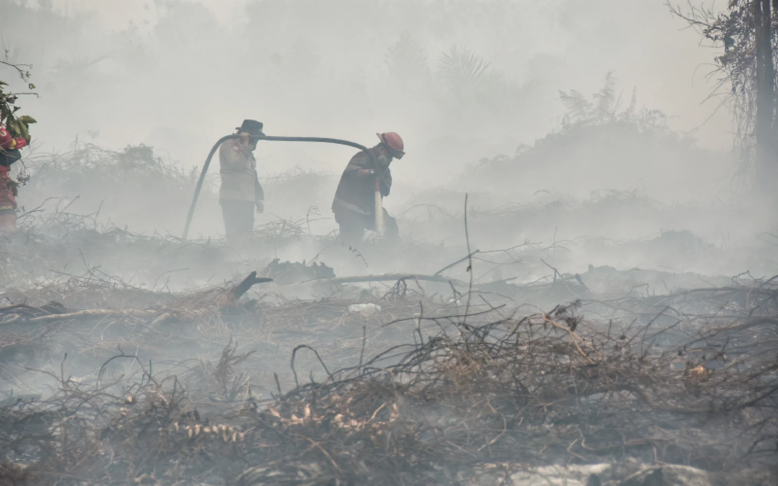 Indonesia police confirm foreign involvement in 98 forest fire cases