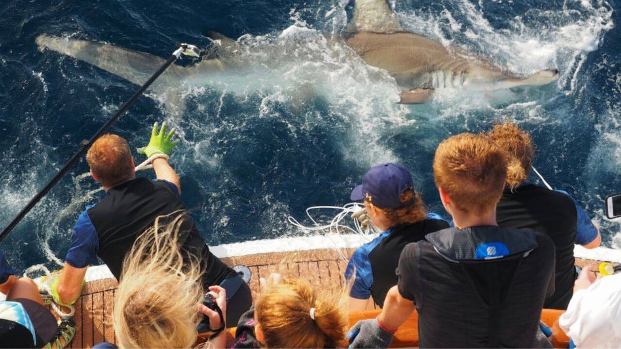 Sisters transform ocean passion into marine science education vessel
