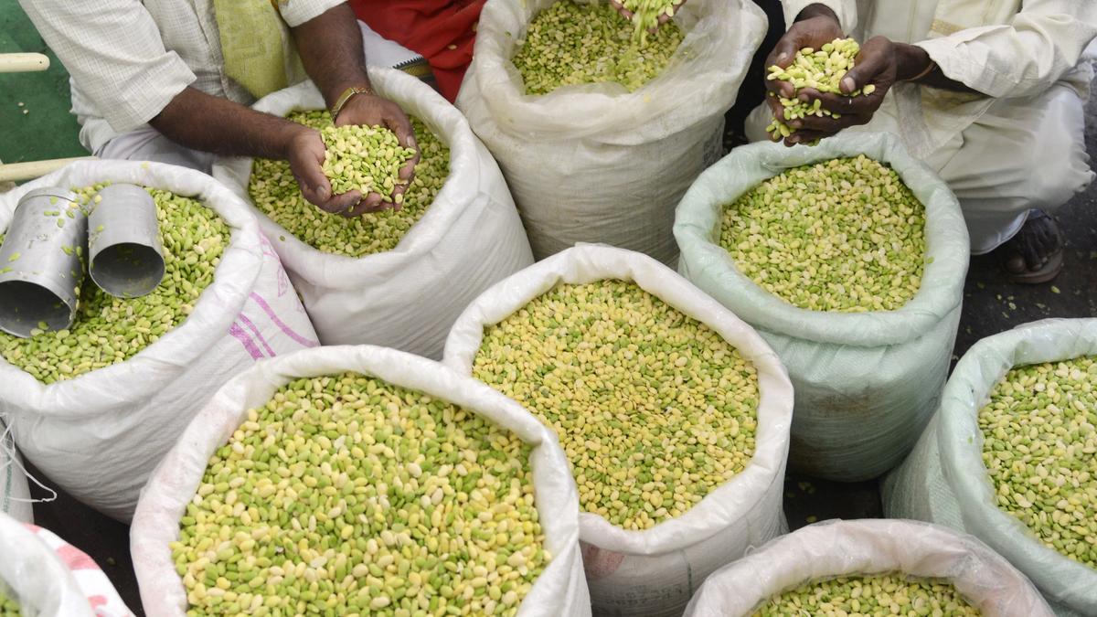 Bengaluru's Avare Mela Marks 25 Years as Major Food Festival