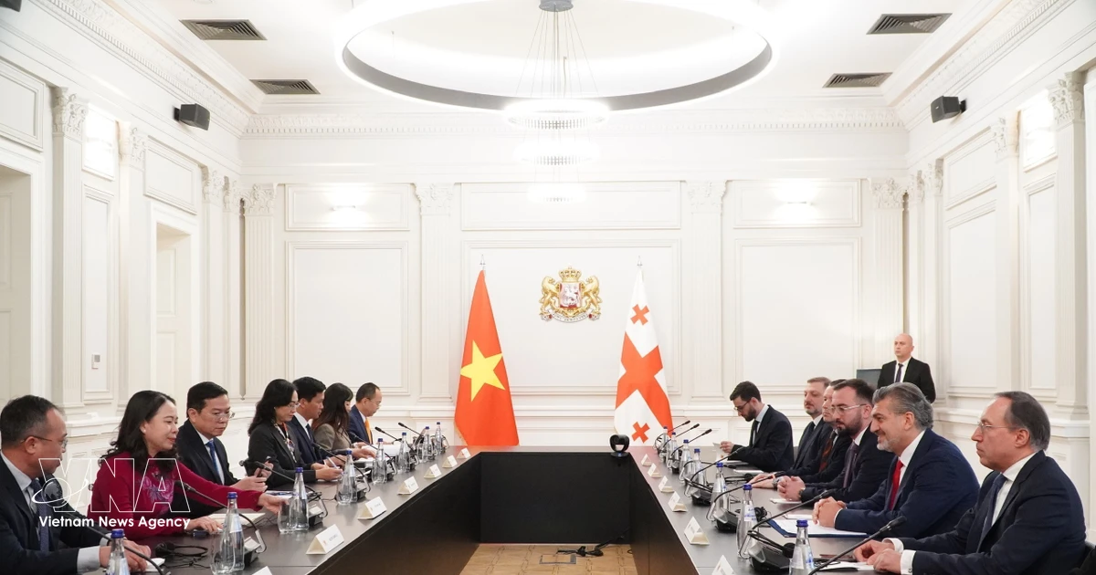 Vietnam and Georgia move to strengthen political and economic ties