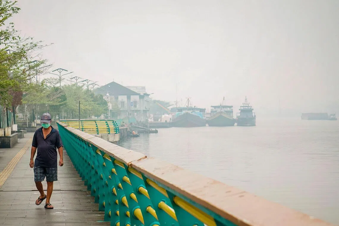 Smoke halts Japan military's Indonesia wildfire relief operations