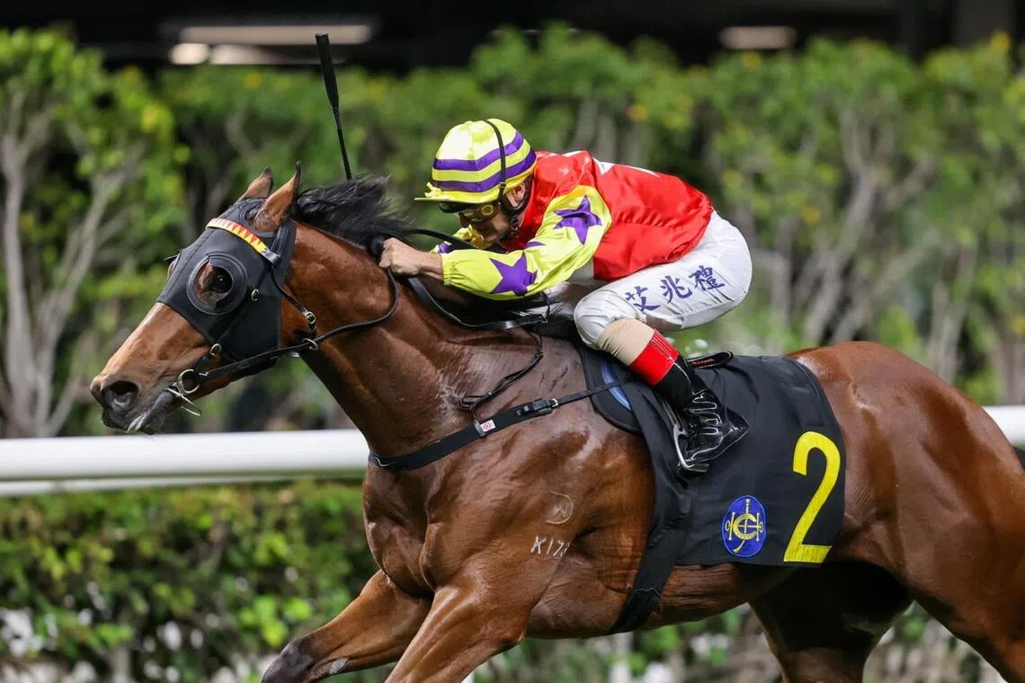 Crimson Flash maintains winning momentum with stellar recent performances