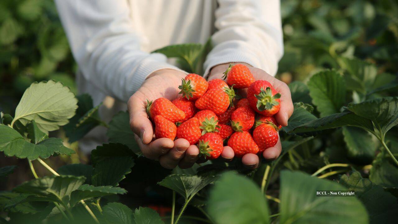 New Jersey preserves historic farmland near Revolutionary War battlefield