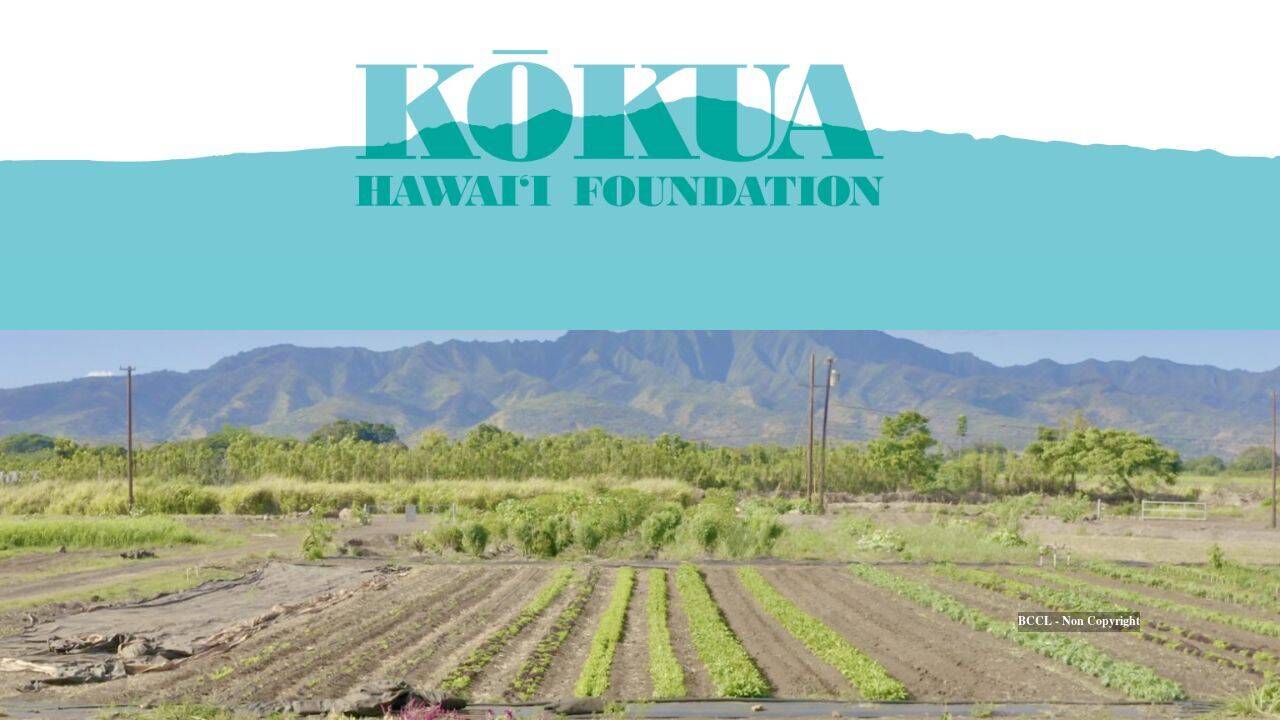 Musician's Foundation Turns Hawaiian Farmland into Educational Hub