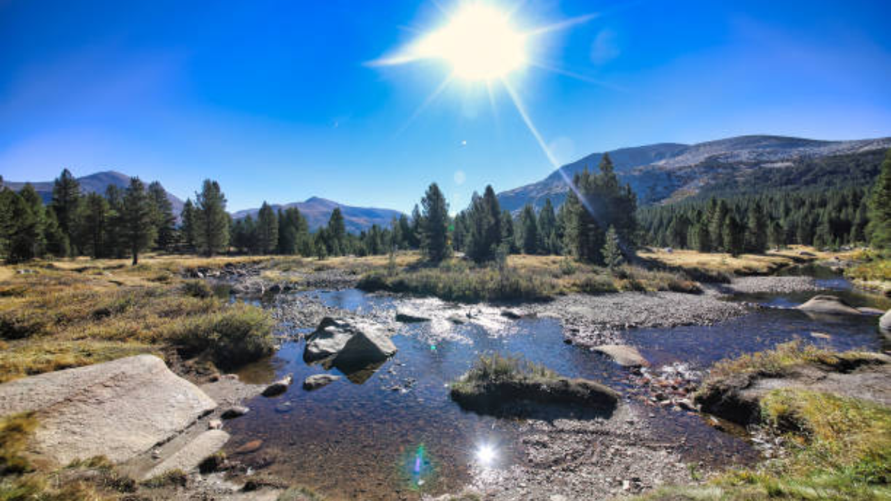Teacher's forest bequest expands wildlife corridor in Americas
