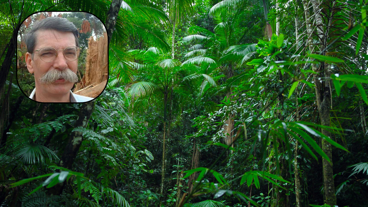 Scientist's 50-year Amazon study challenges development paradigm