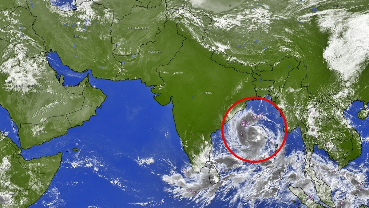 Cyclone Arnab set to intensify before Andhra Pradesh landfall
