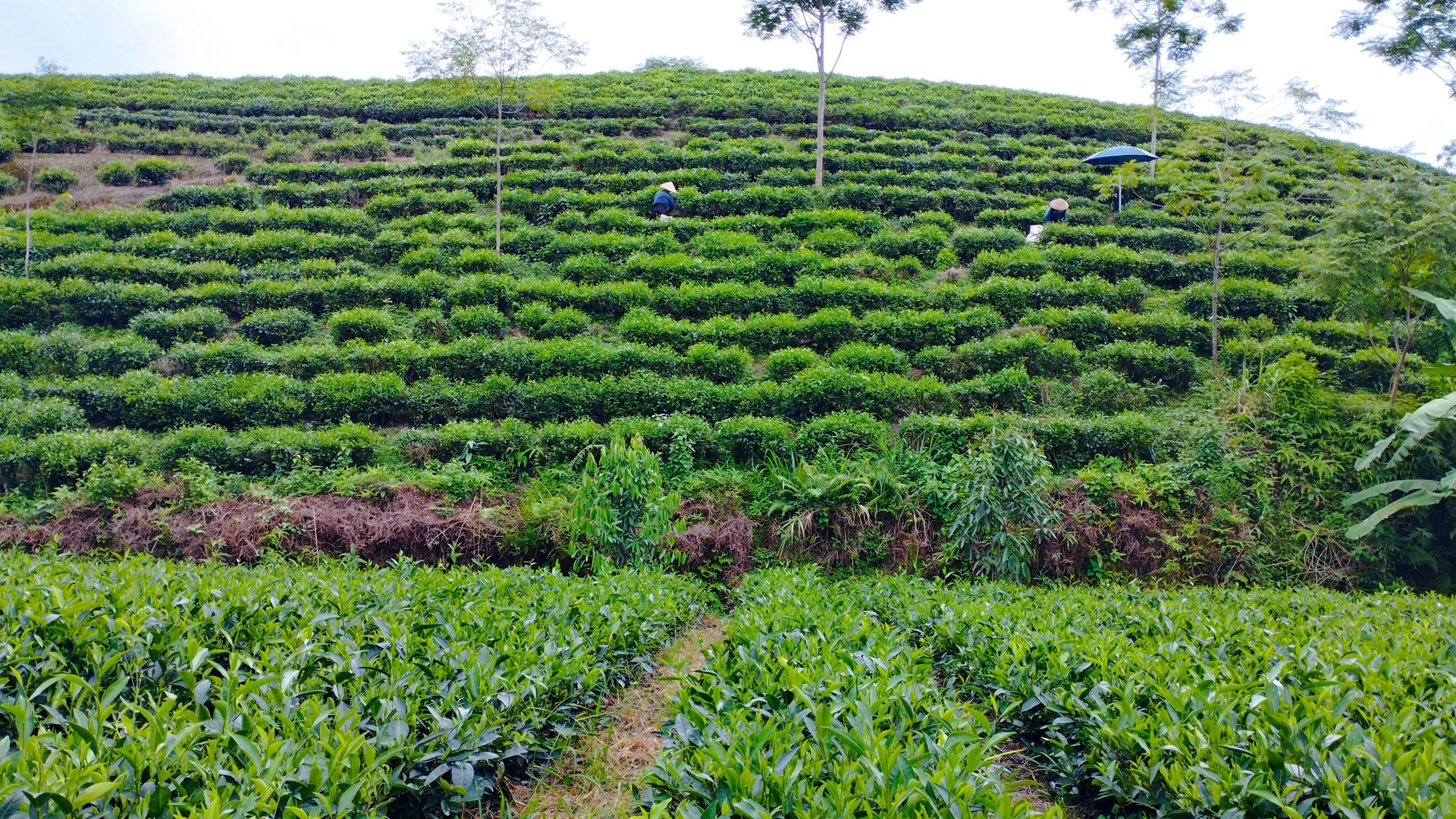 Thai Nguyen targets 12 million visitors by 2030 with eco-tourism push