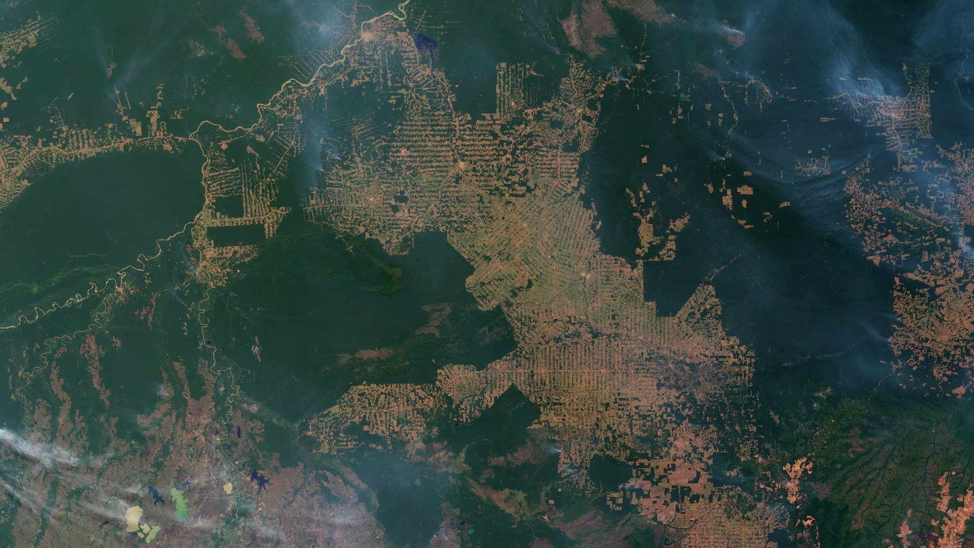 Amazon deforestation hits 35-year low ahead of Brazil elections