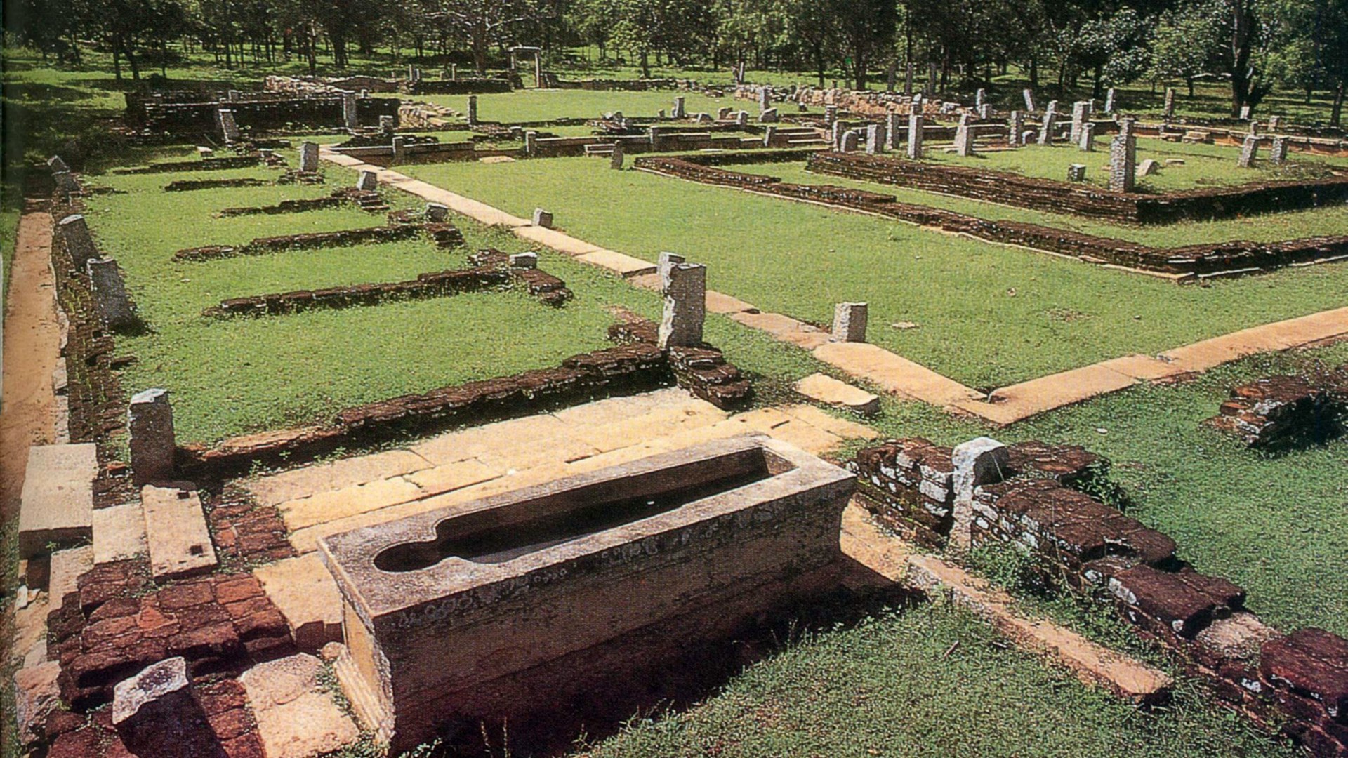 Sri Lanka moves to modernise six-decade-old traditional medicine law
