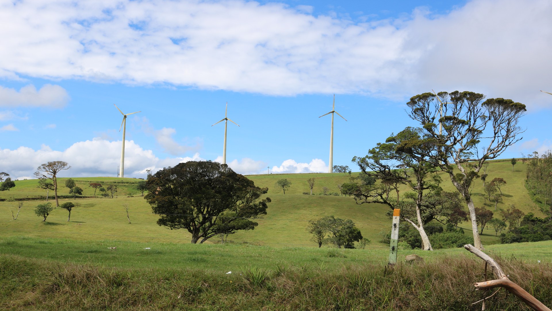 WindForce Charts Course for Sri Lanka's Renewable Energy Future