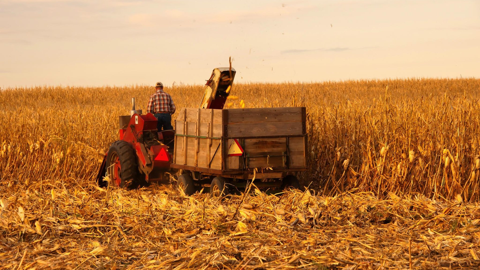 U.S. farm belt tensions rise as midterm elections approach