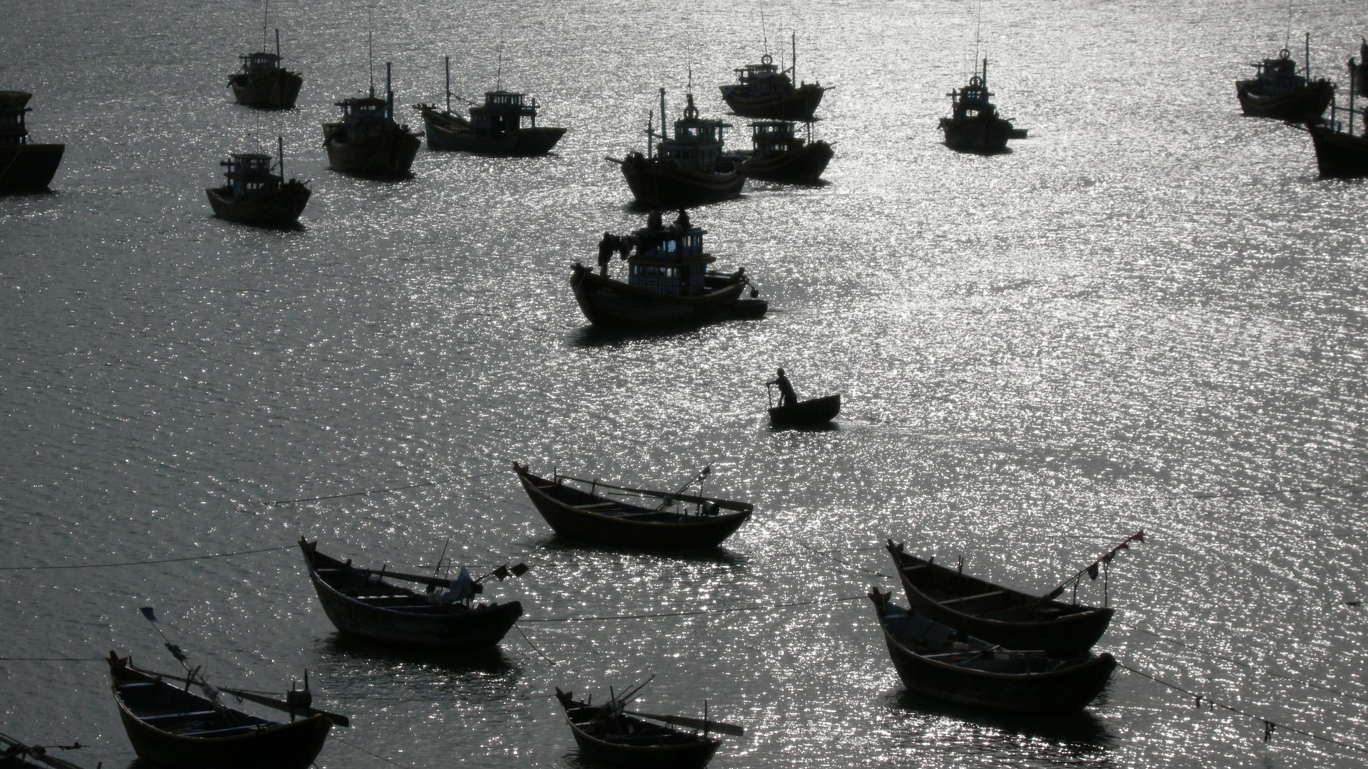 Địa phương ven biển được yêu cầu tăng cường kiểm soát đội tàu cá