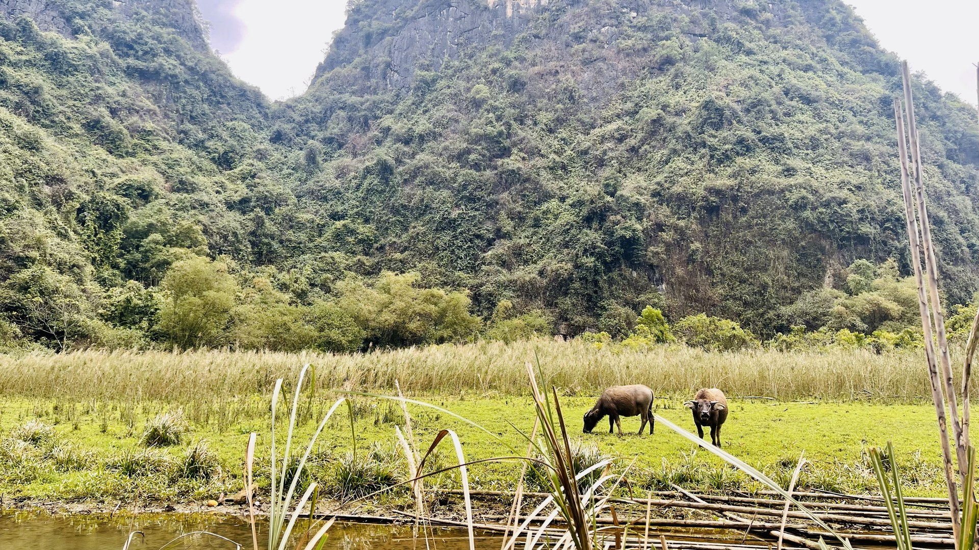 Vietnam seeks stronger links between agricultural research and farming practice