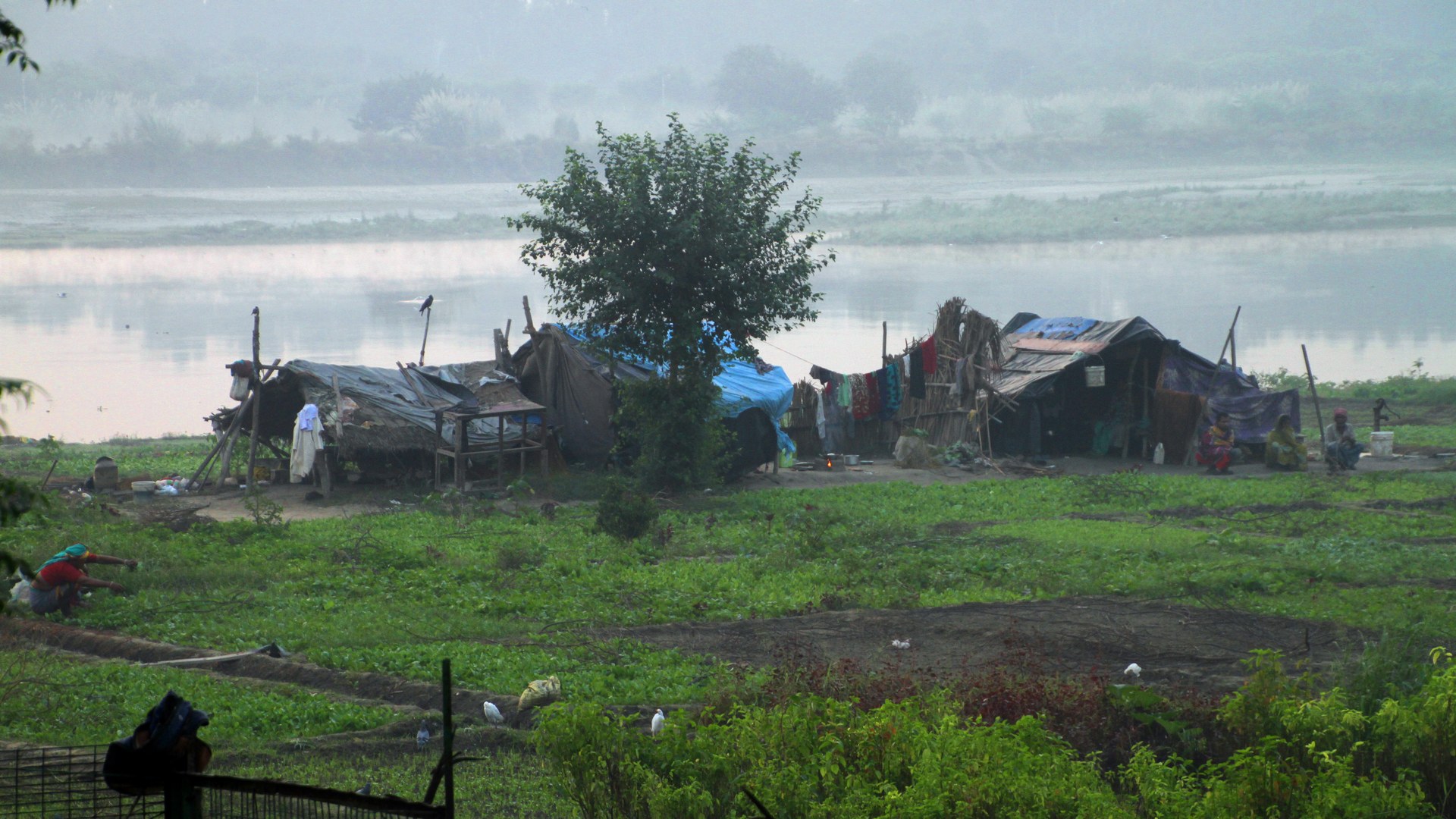 Delhi Authorities Seal Three Illegal Dhobi Ghats Over Yamuna Pollution