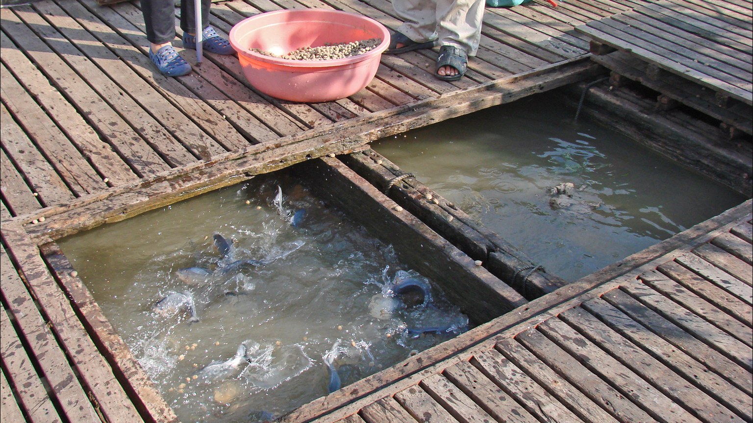 Vietnam's seafood sector eyes growth through EFTA trade pact