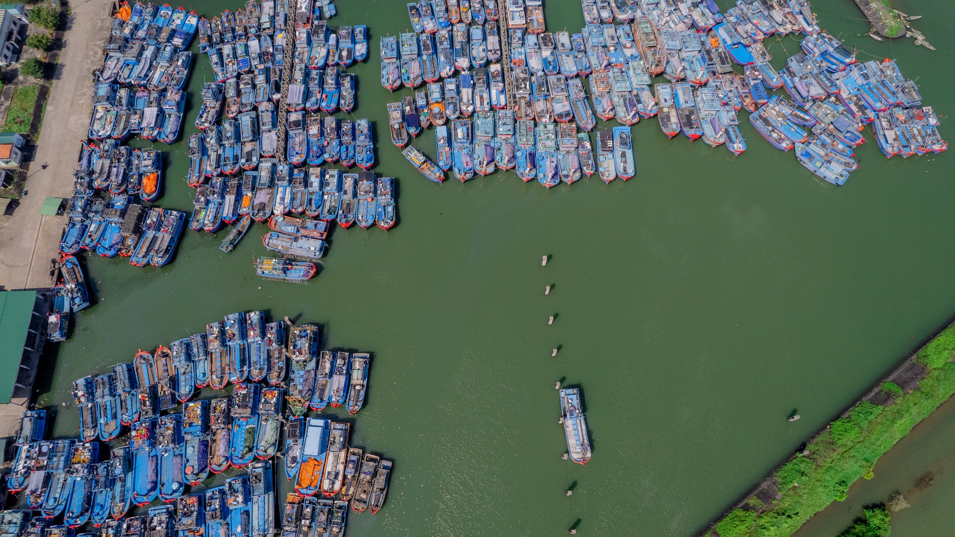 Quang Ngai province sets strict deadline for fishing vessel monitoring system
