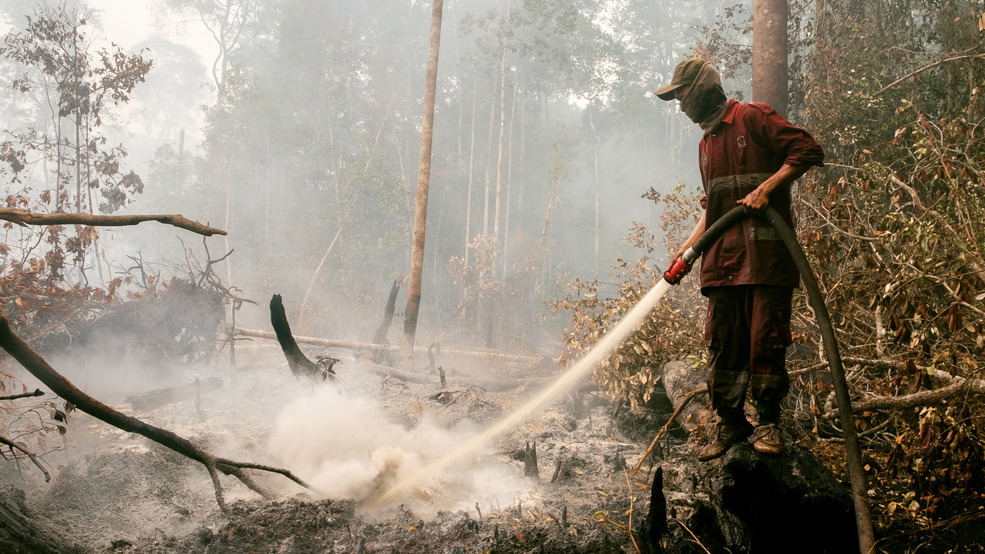 Indonesia's fire crisis scorches 1.9 million hectares by September