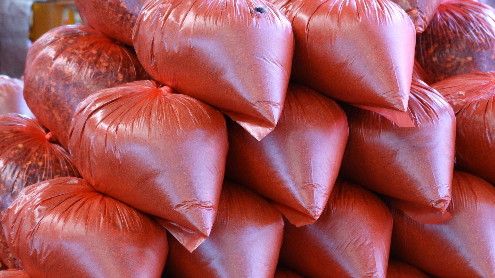 Sri Lanka exports surge 21.66% in September, led by electronics and spices