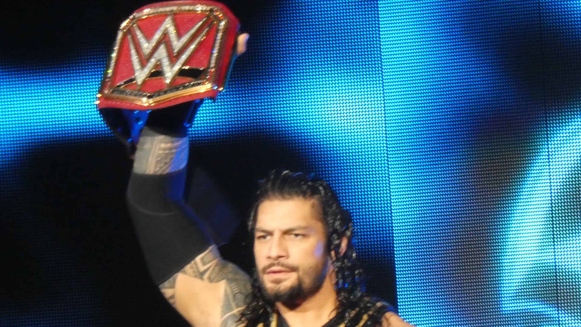WWE Star Roman Reigns and Wife Galina Becker's Combined Wealth Estimated at $17.2 Million