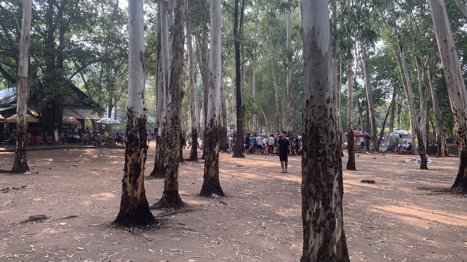 Excavation at Le Thi Rieng Park Unearths 58 Sets of Fallen Soldiers' Remains