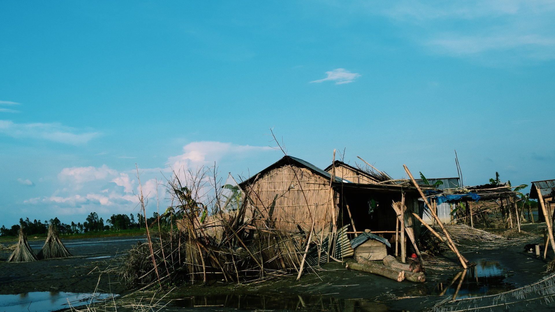 Climate crisis threatens mass displacement across South Asia, warns UN