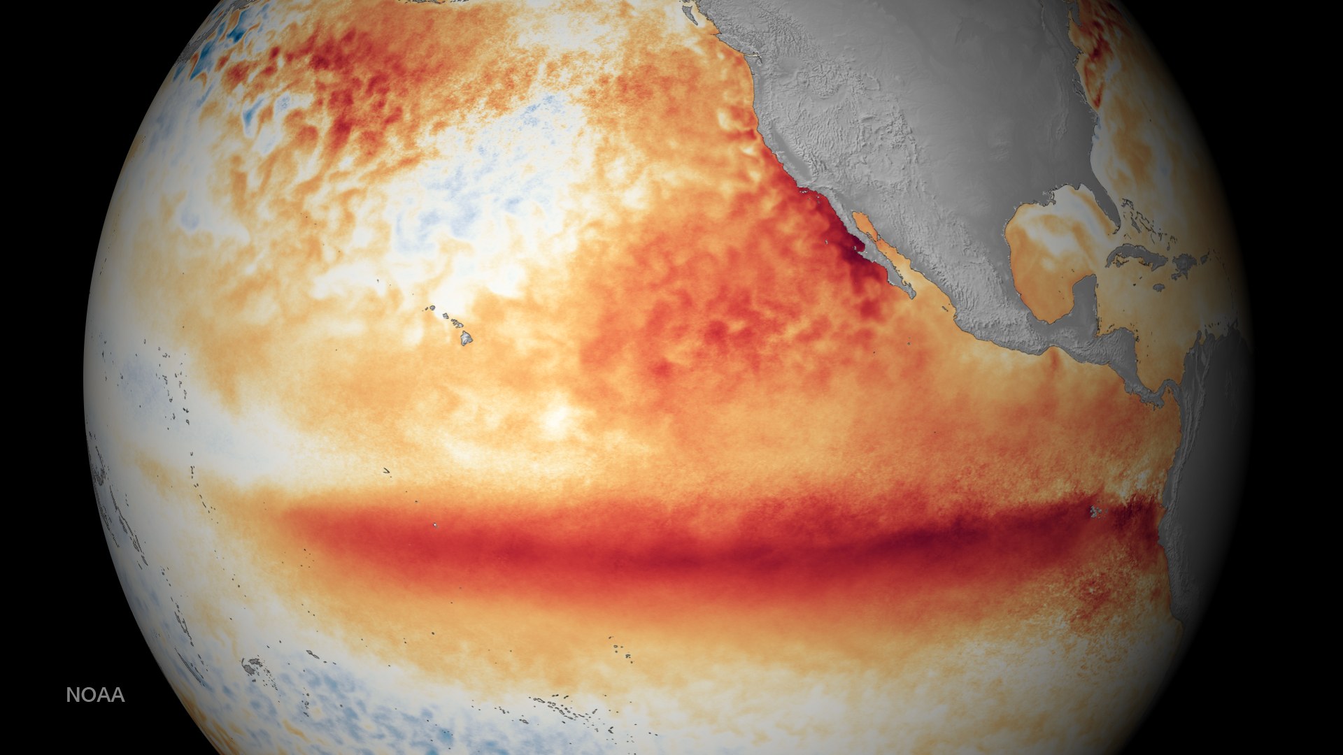 El Niño to bring warmer, wetter conditions across region this winter