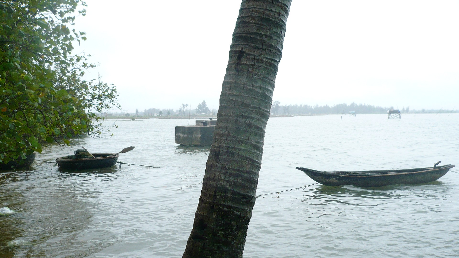 Quang Tri tightens fishing fleet monitoring to combat illegal fishing