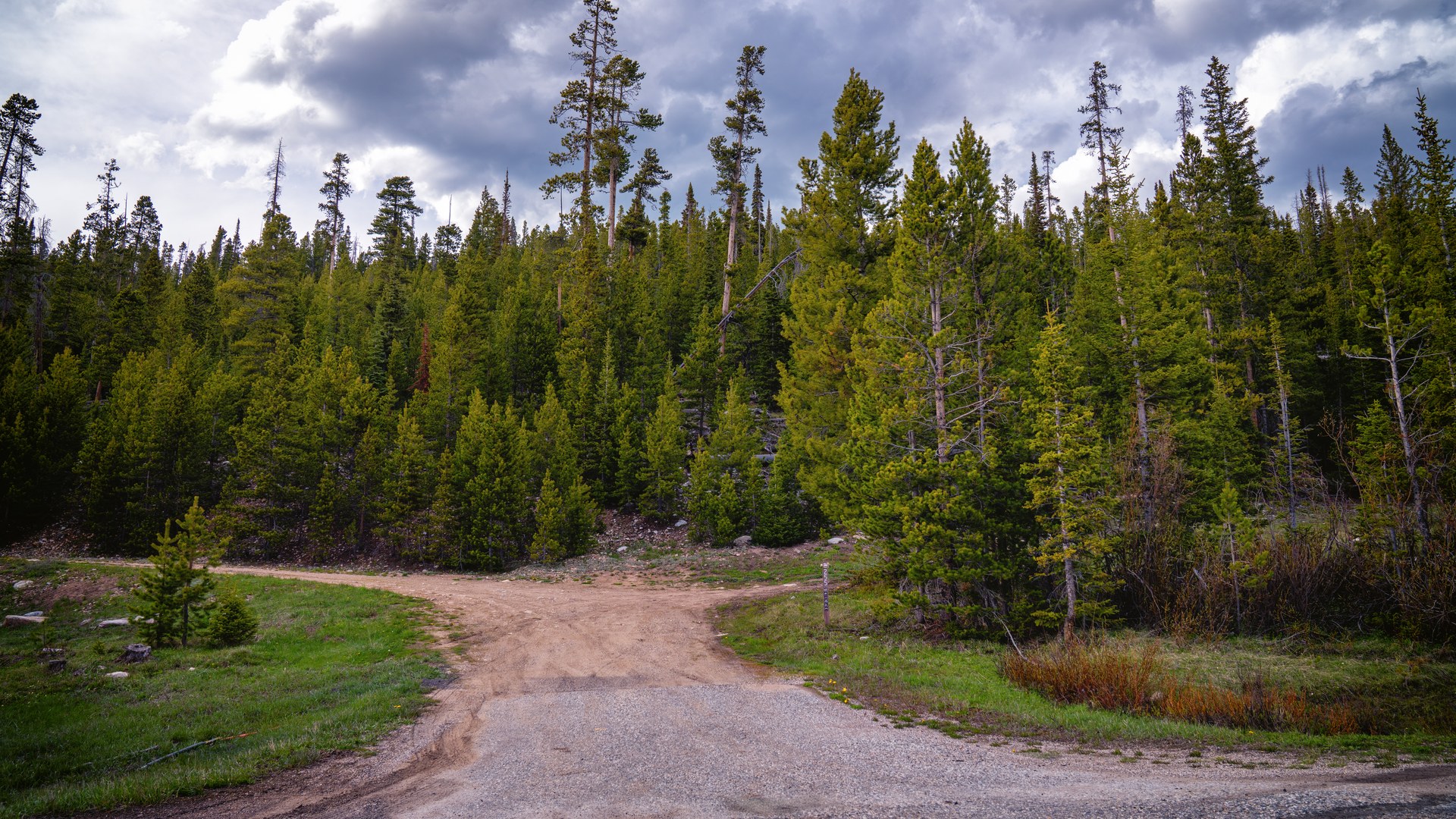 US logging industry dismisses forest road rule repeal as inadequate remedy