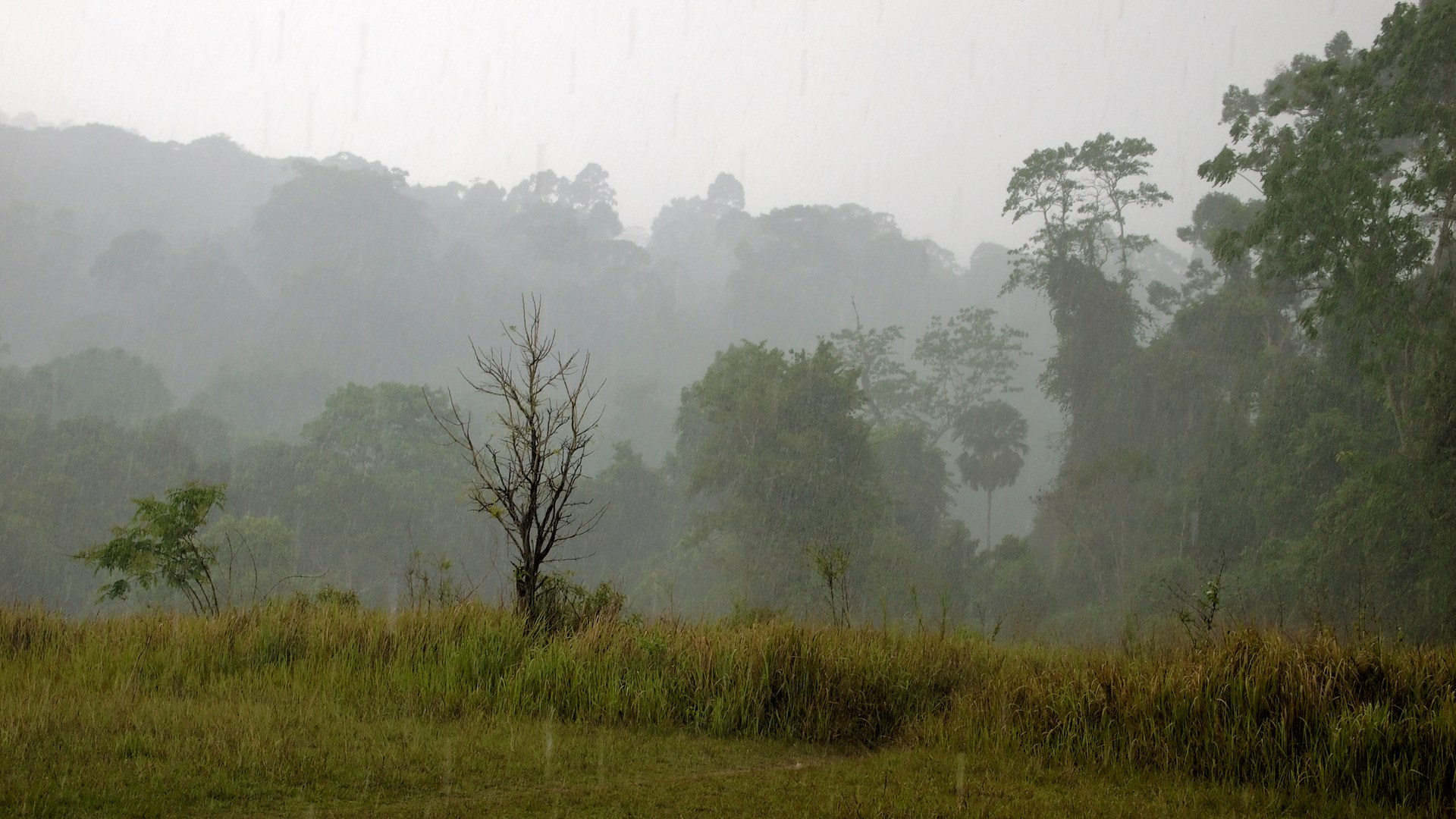 Nationwide rainfall expected to persist through mid-October