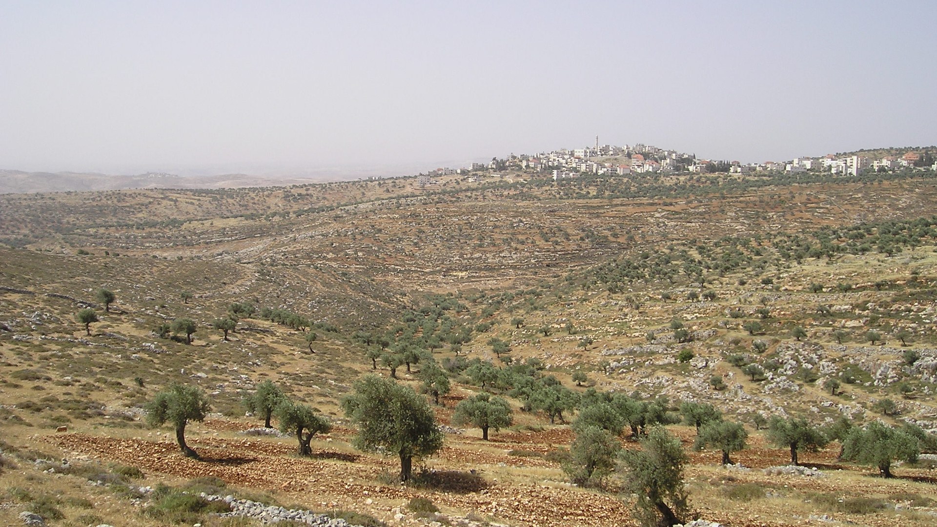 Israeli Settlers Attack European Diplomats During West Bank Visit