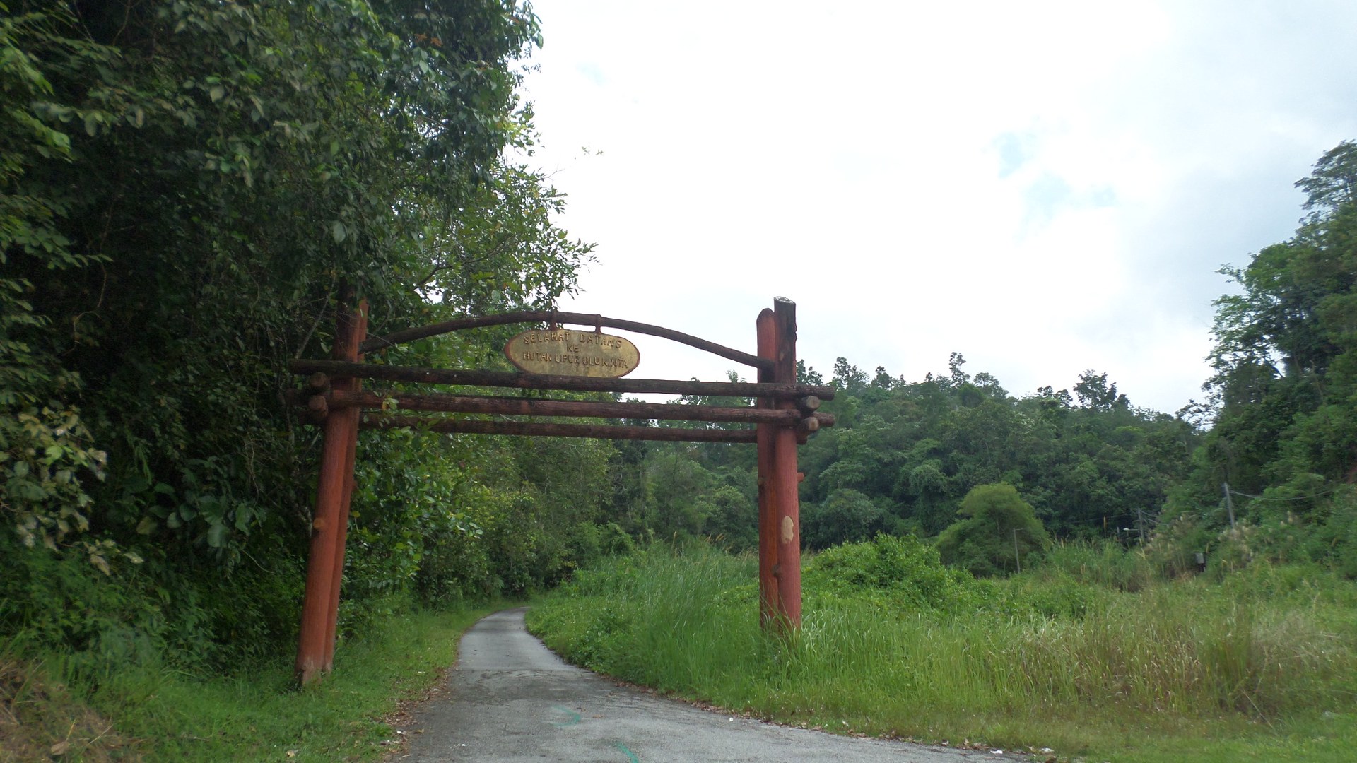Perak tutup semua laluan mendaki di hutan simpan hingga Januari 2025