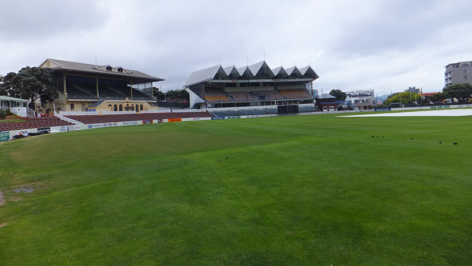 India Eyes Series Victory Against New Zealand in Third T20I
